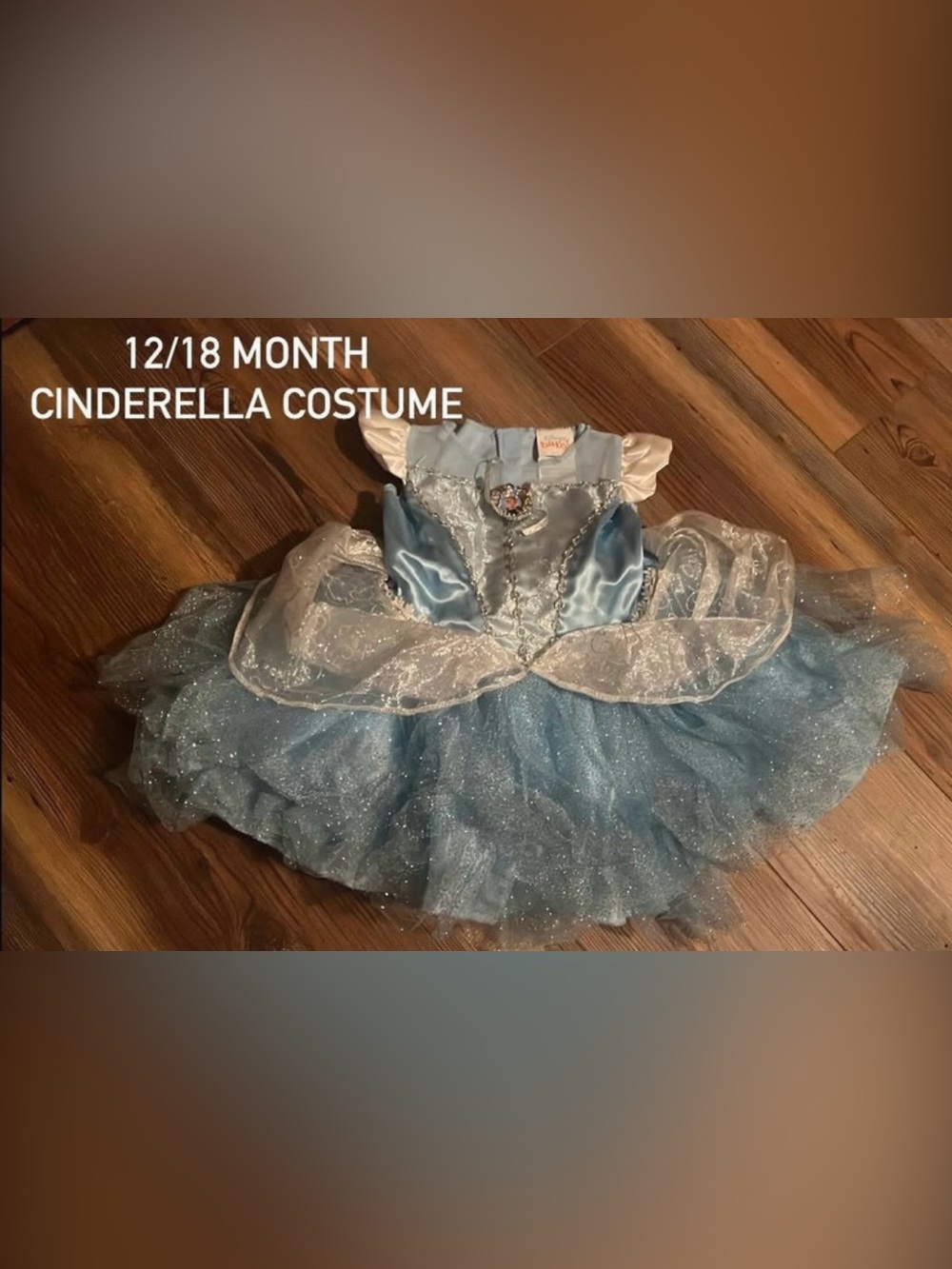 Disney Cinderella Light Blue Glitter Tulle Dress Costume